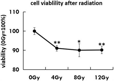 Label-free observation of morphological alteration of irradiated-urothelial bladder carcinoma cells through digital holographic microscopy